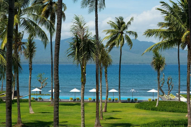 Palmen und Blick auf die Bali-Straße im Dialoog Banyuwangi