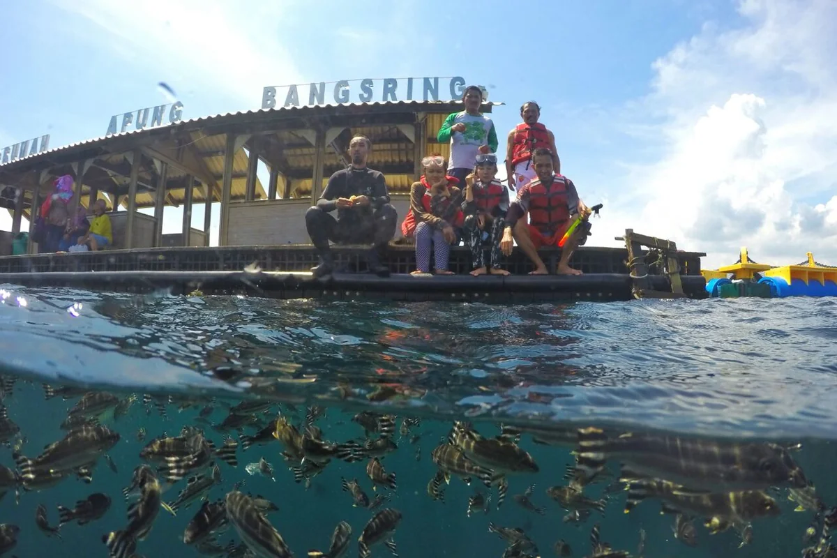 Schwimmende Plattform und Fische bei Bangsring Underwater
